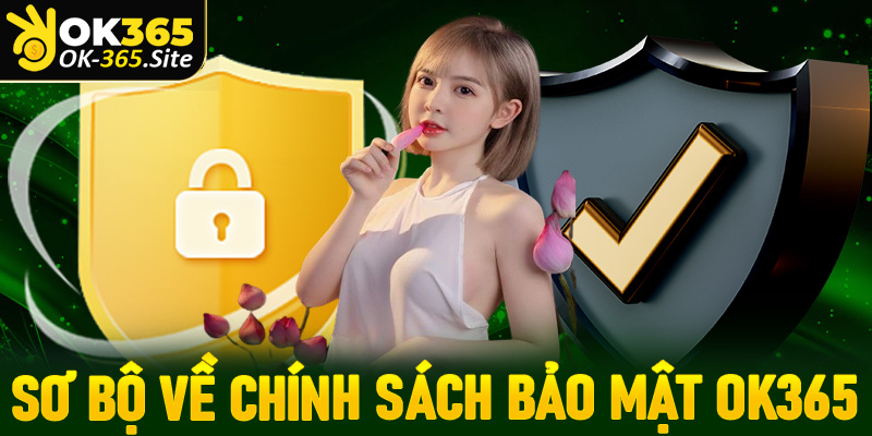 Thông tin sơ bộ về trang chính sách bảo mật tại OK365