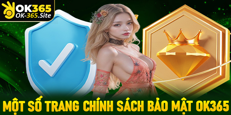 Một số trang chính sách bảo mật OK365 đang được áp dụng