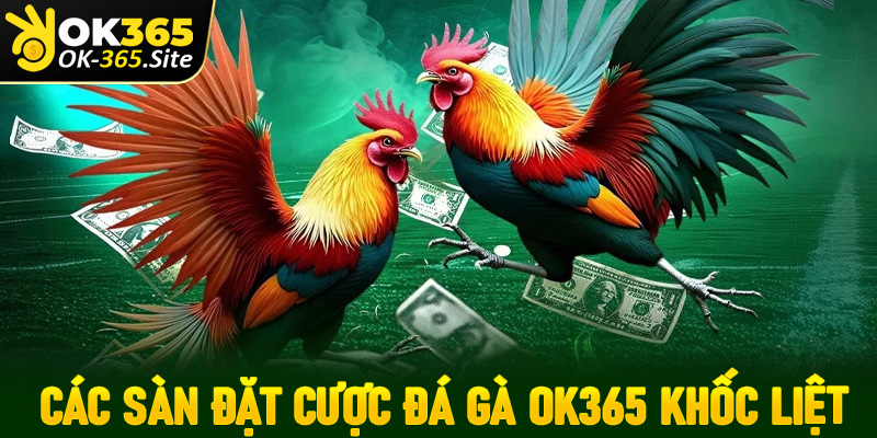 Các sàn đặt cược đá gà OK365 khốc liệt được nhiều bet thủ tin tưởng